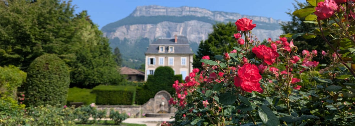 ASR Nettoyage Meylan - Services de Nettoyage pour Bureaux et Espaces de Travail